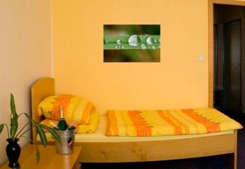 Penzion U Chmelu ปรอสเกออฟ ภายนอก รูปภาพ